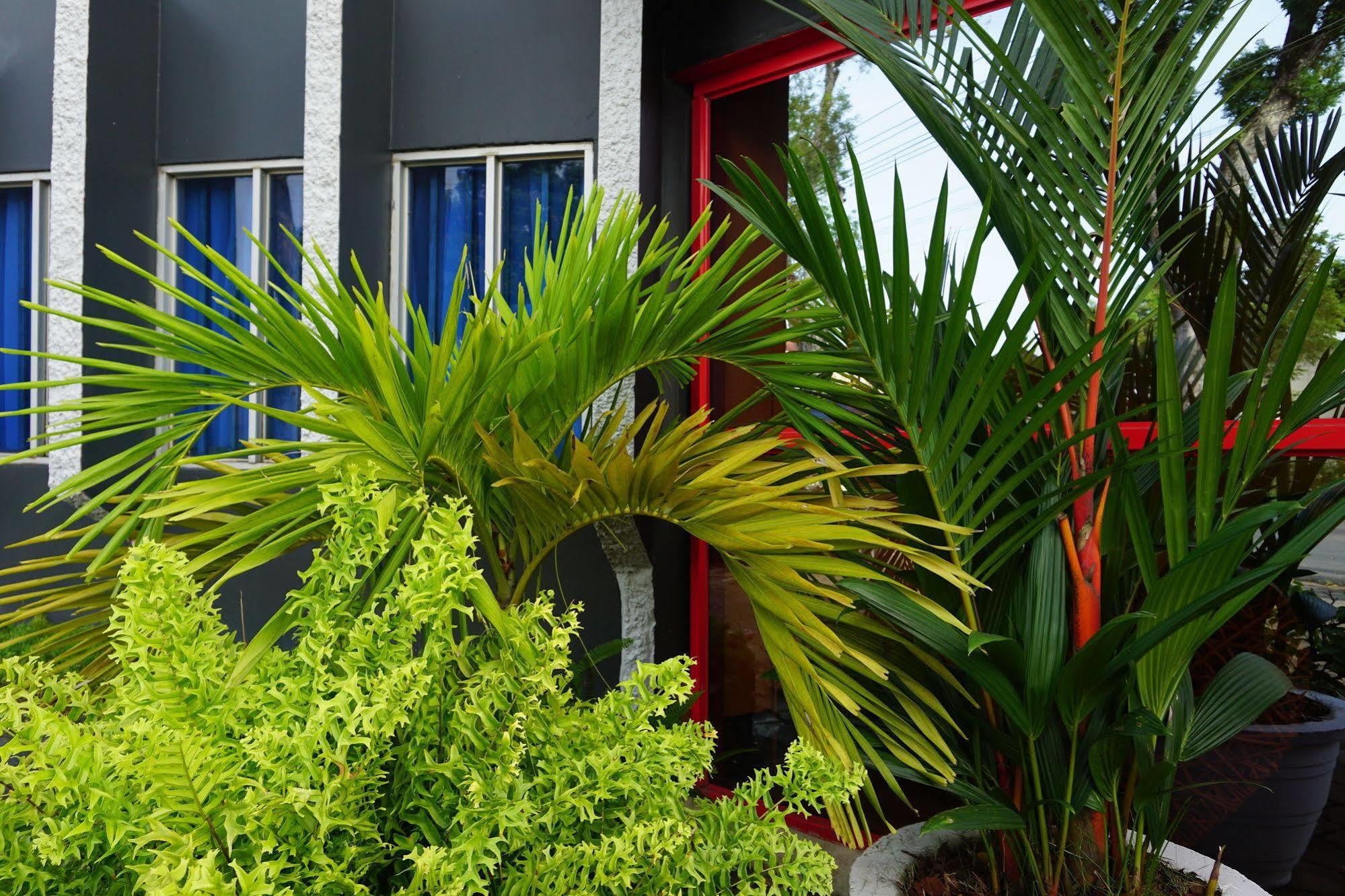 Holland Lodge Paramaribo Exterior photo